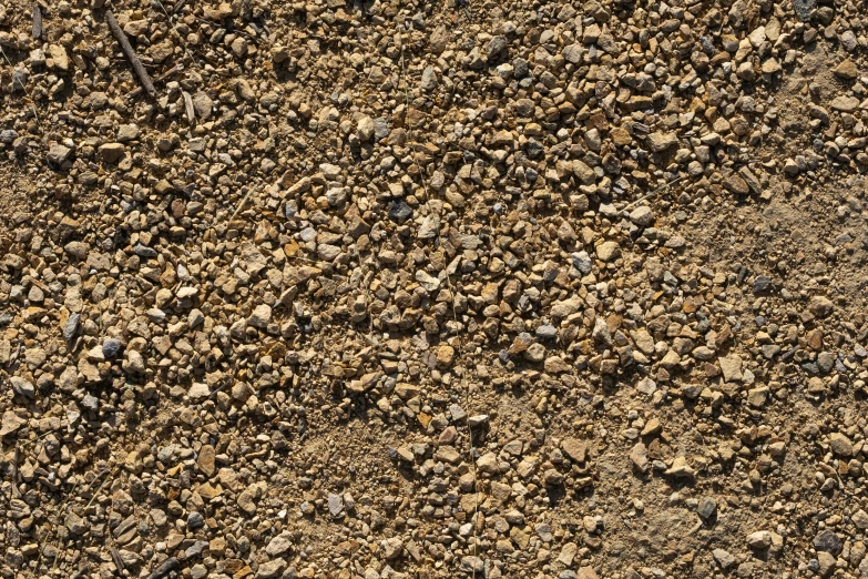 dirt road with small rocks and gravel scattered on it
