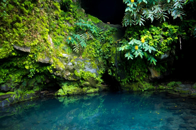 a pool is surrounded by moss covered rocks and green trees