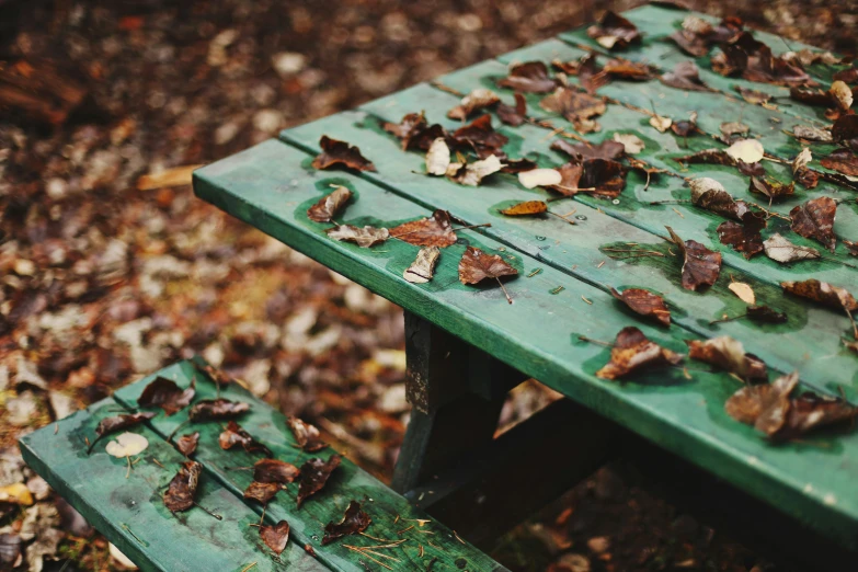 a green bench with leaves on it sitting in the woods