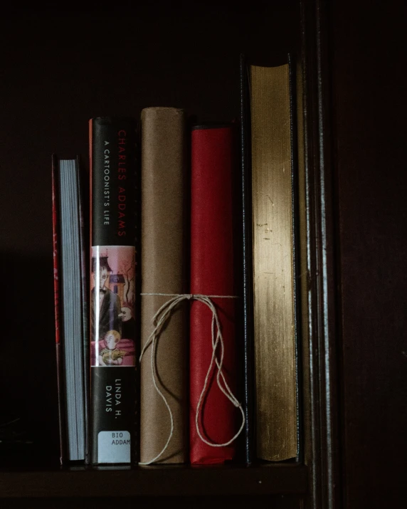 two books are on a shelf beside each other