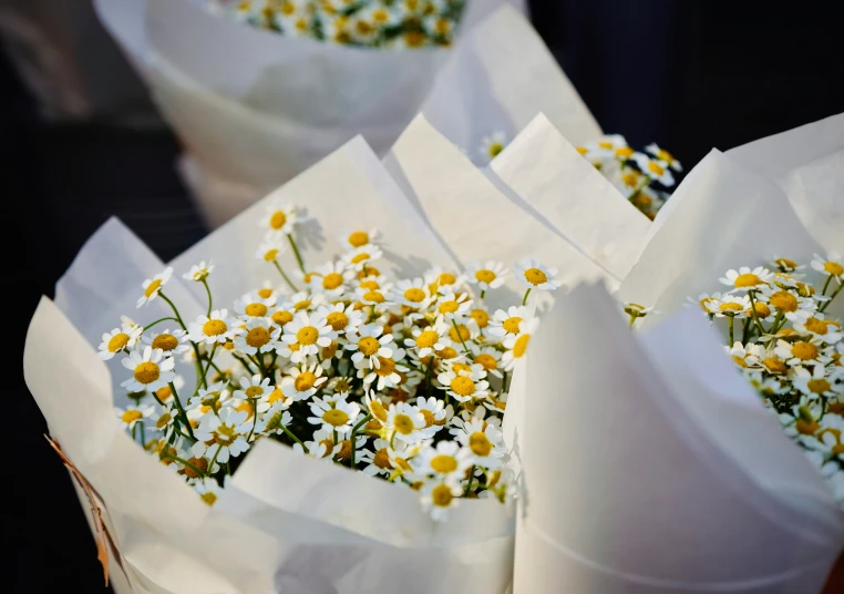 a bunch of white and yellow flowers in paper