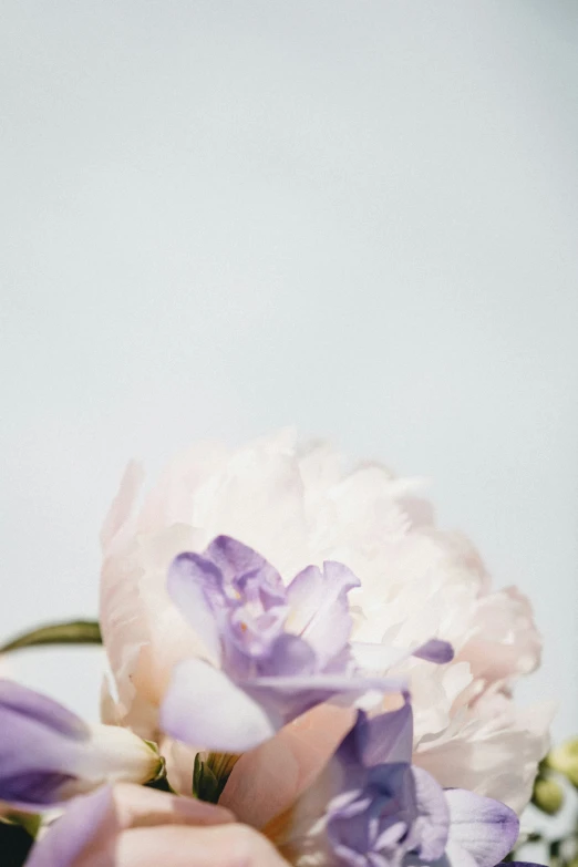 a close up of a bunch of flowers with blurry background