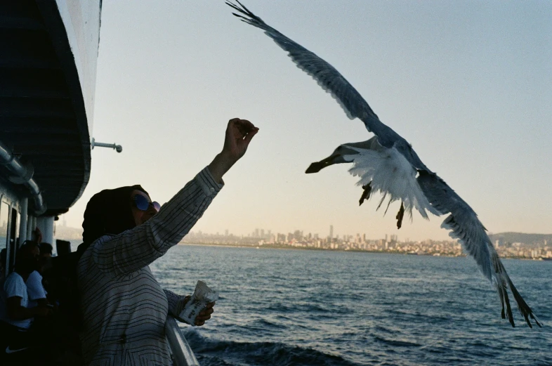 two birds flying over water while the people look on