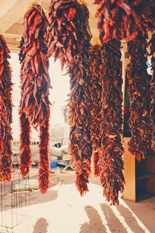 rows of red peppers hang from ceiling at outdoor market