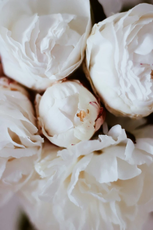 a bunch of white peonies on top of a table