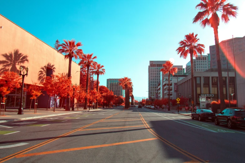 a view down the street with several palm trees