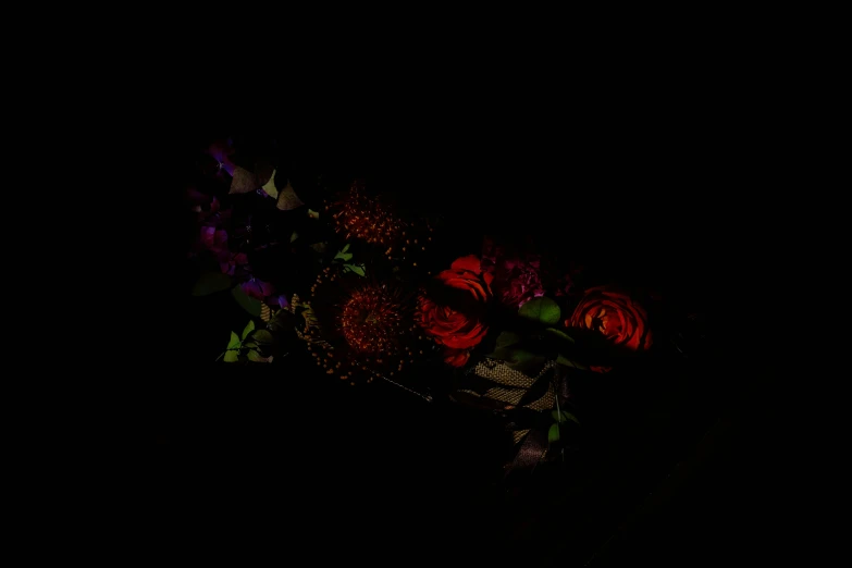 some roses on the ground at night with no one around