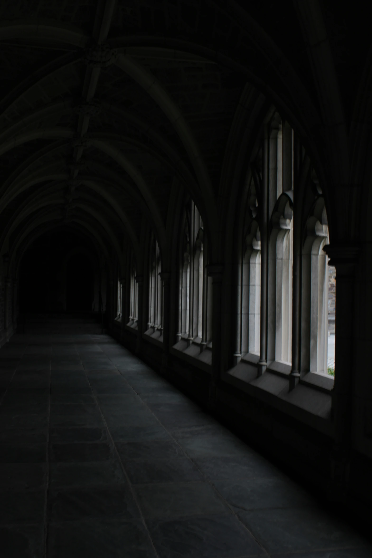 arched windows in a building with the sunlight from the window panes