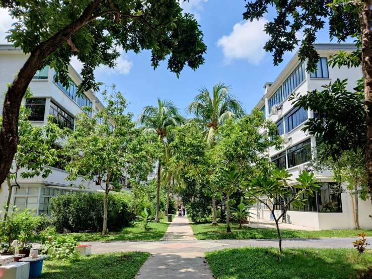 a walkway leads through to a large building