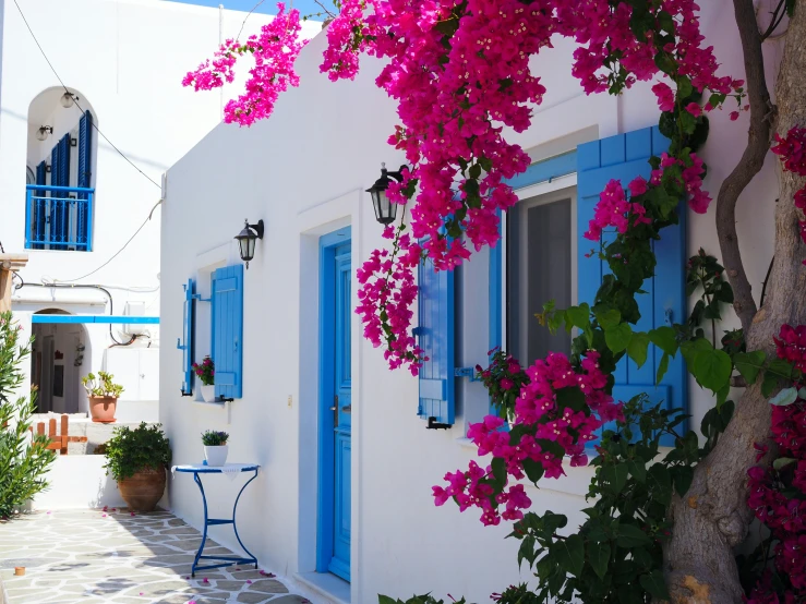 an image of pink flowers on the wall