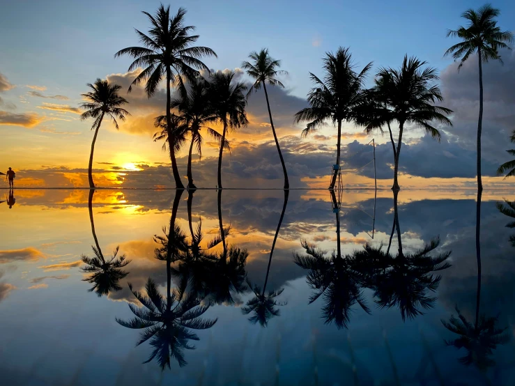 a sunset and palm trees reflected in a pool