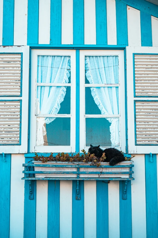 a cat that is laying down in a window