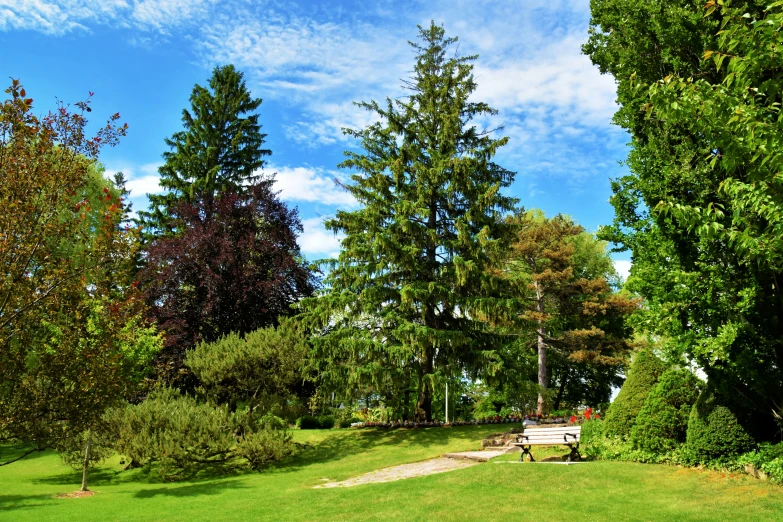 there are many trees and benches in the park
