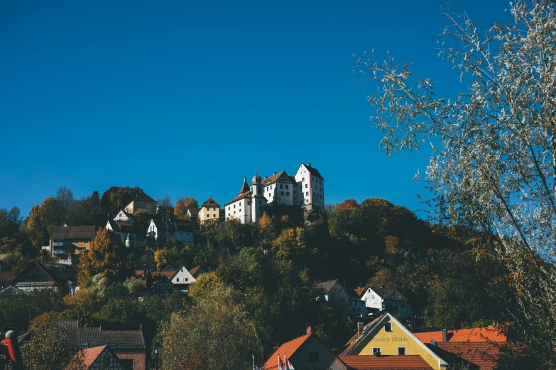 colorful houses are at the edge of the forest