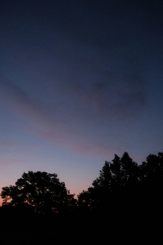 several trees in front of the sky with a purple and blue cloud