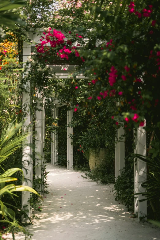 a view of an outside patio through the arbors and flowers