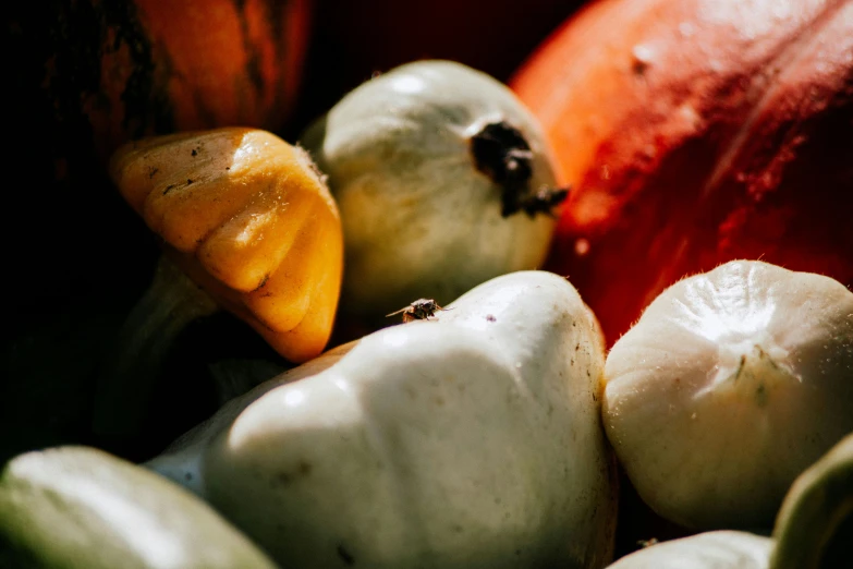 a close up image of a variety of fruits and vegetables