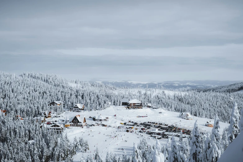 a snowy village perched in the middle of some trees