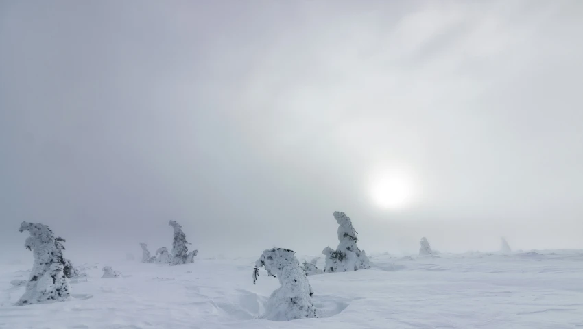 a person on skis is standing in the snow