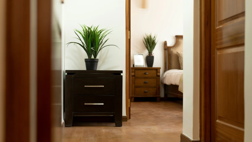 a room that has a plant and dresser with mirrors