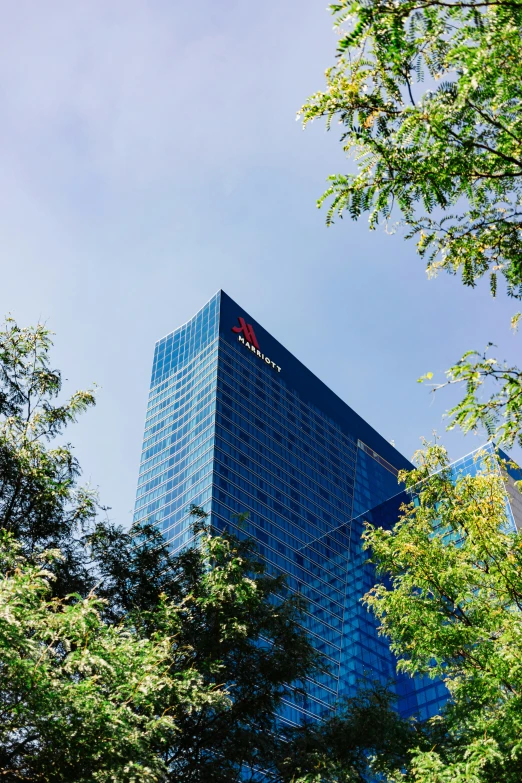 a tall building is framed by some trees