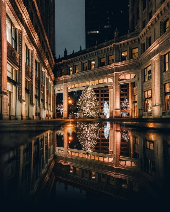 an image of a christmas tree with lights on