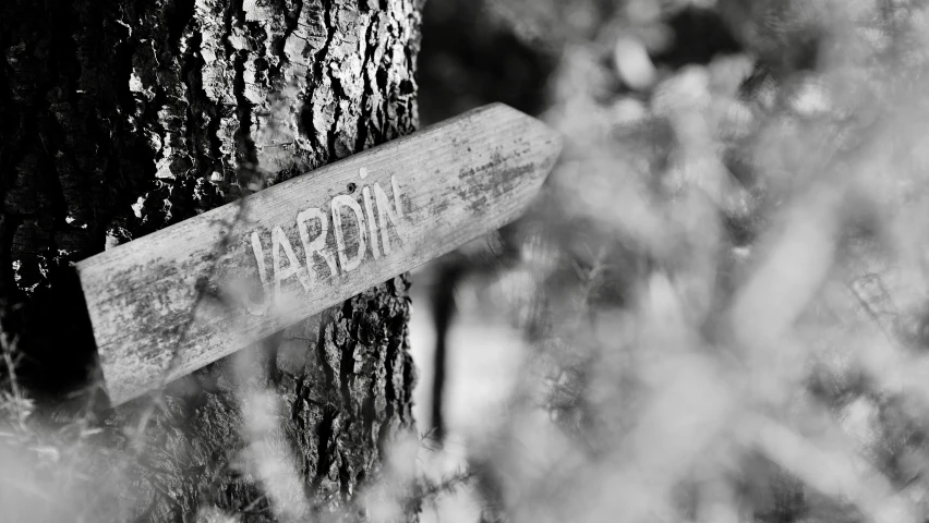 an old wooden sign nailed to a tree