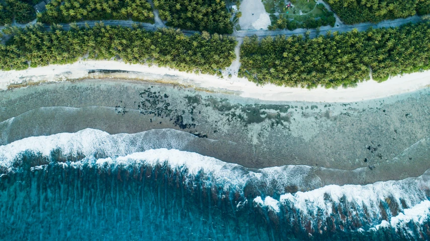 aerial s of an island with two seas and trees