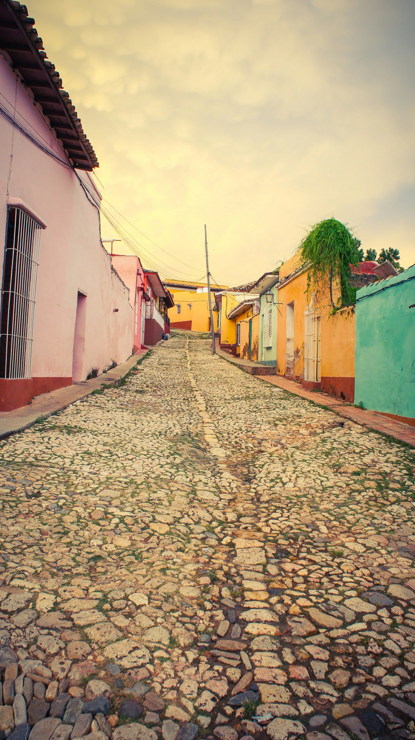 a cobble stone street with parked cars in the background