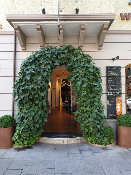 an open entry way to the store with trees