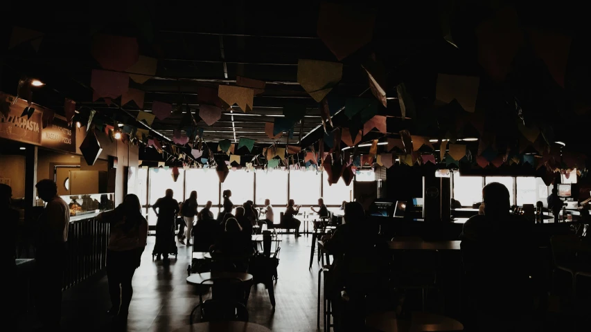 people are seated in a dark room with flags in the air