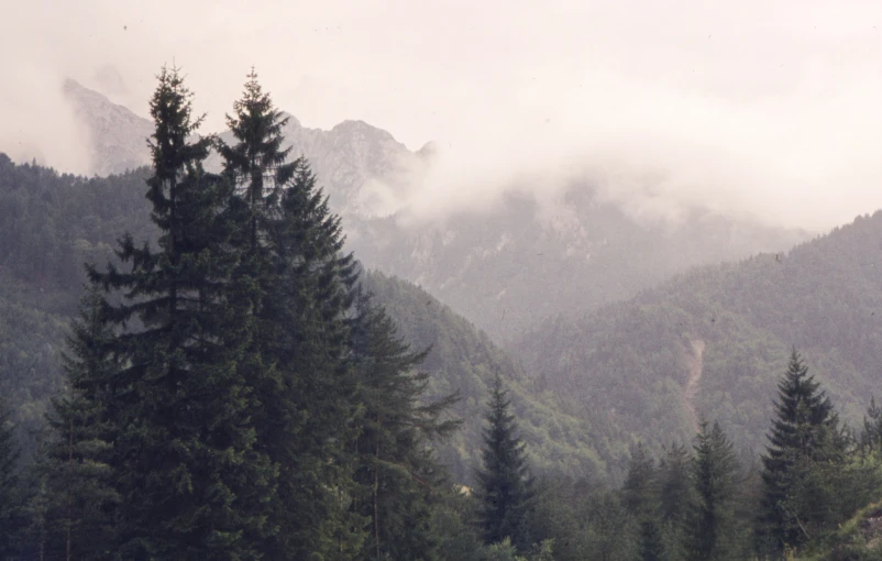 the mountains are covered in clouds and trees