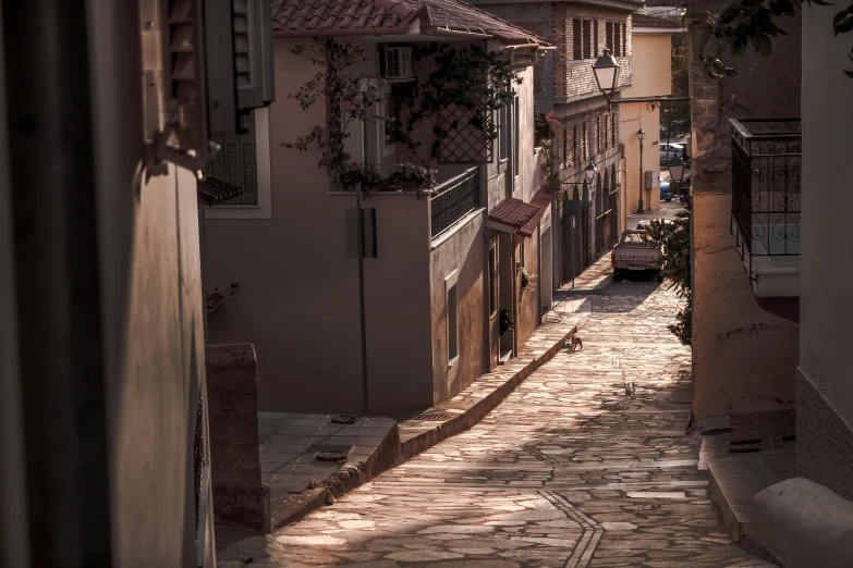 an alleyway with brick pavers on each side and several houses in the background