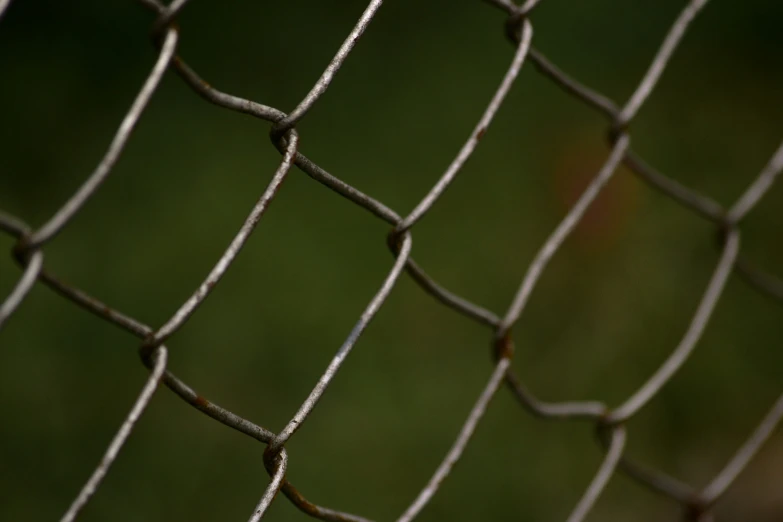 the bird is sitting on the chain link fence