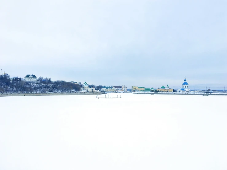 a town is seen behind the trees covered in snow