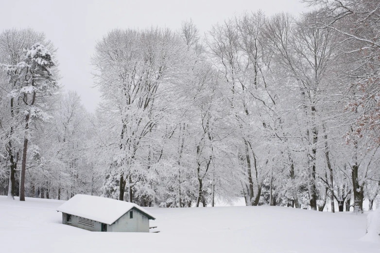 the small white house is standing in the snow