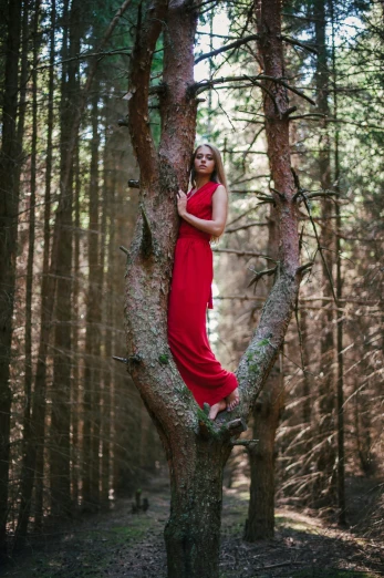woman in red dress in the woods leaning on tree