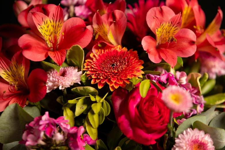 a bouquet of colorful flowers displayed in a dark room