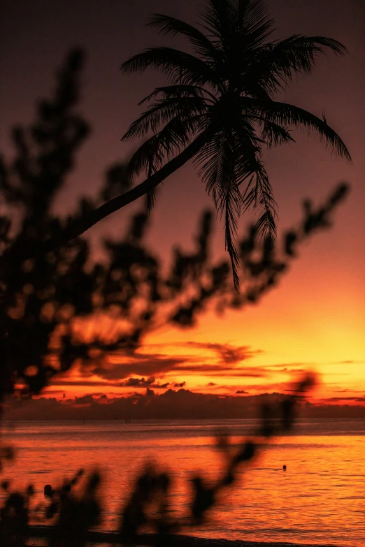 the sun is setting as seen through some trees