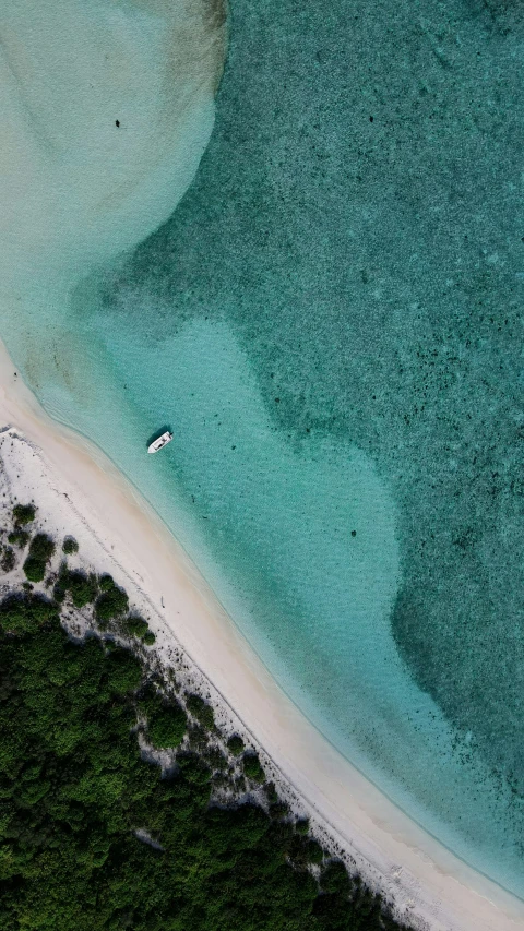 an aerial view shows a boat in the water, with vegetation on both sides of the beach