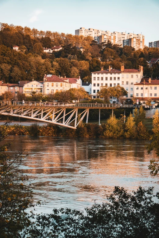 a bridge that goes over a river, surrounded by the trees