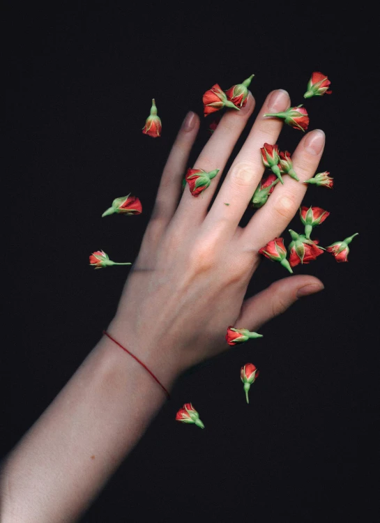 hand holding petals of flowers in the air