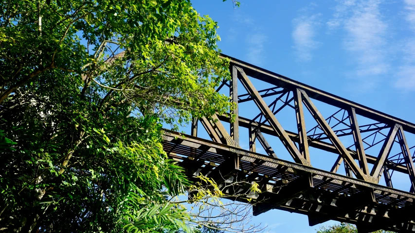the structure of a railroad bridge over water and trees