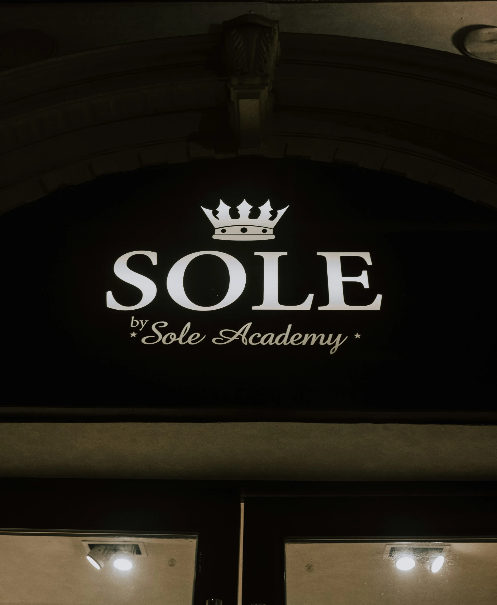 the sole logo for a role academy with the name sole above it