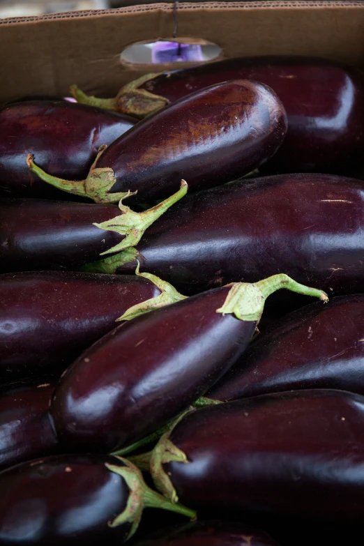 a box filled with purple eggplant sitting on top of a green plant