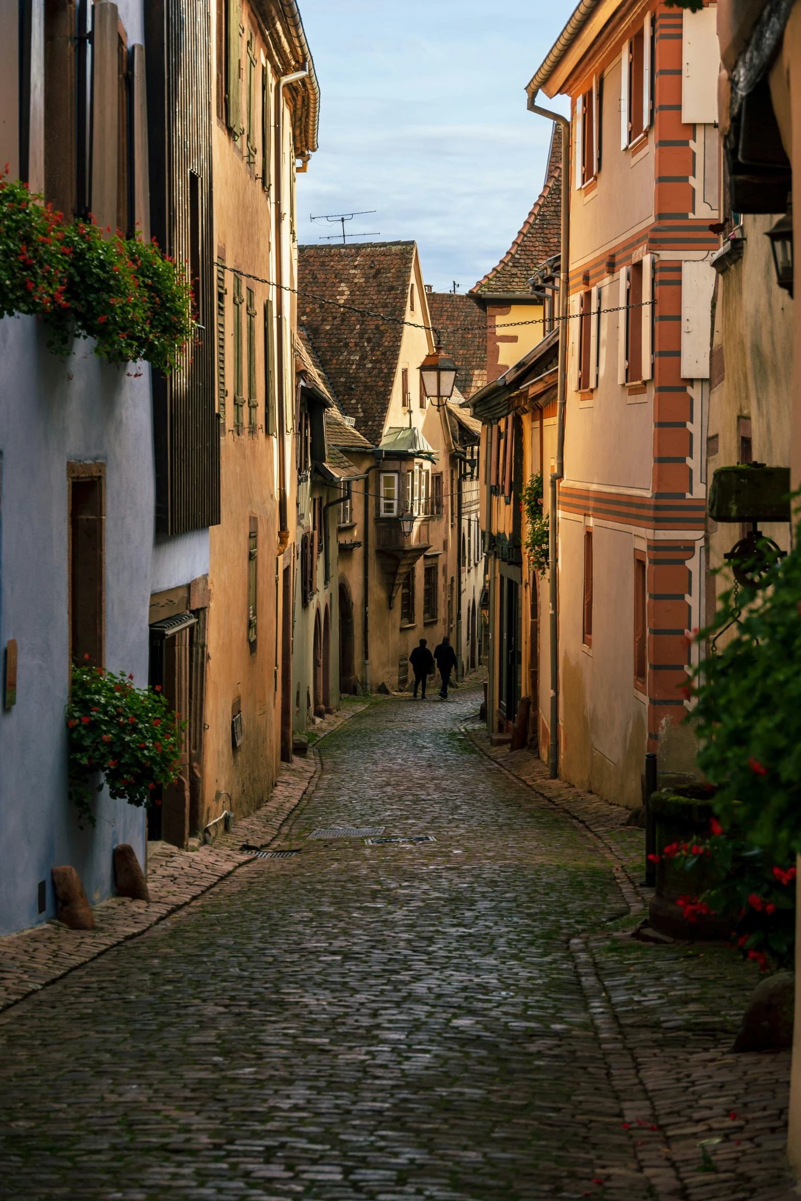 a cobblestone street with a brick sidewalk and buildings