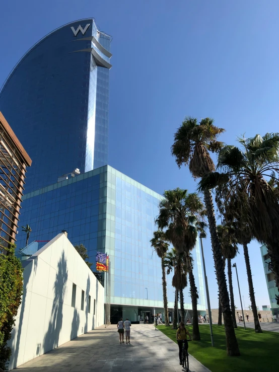 an interesting building and a lot of palm trees