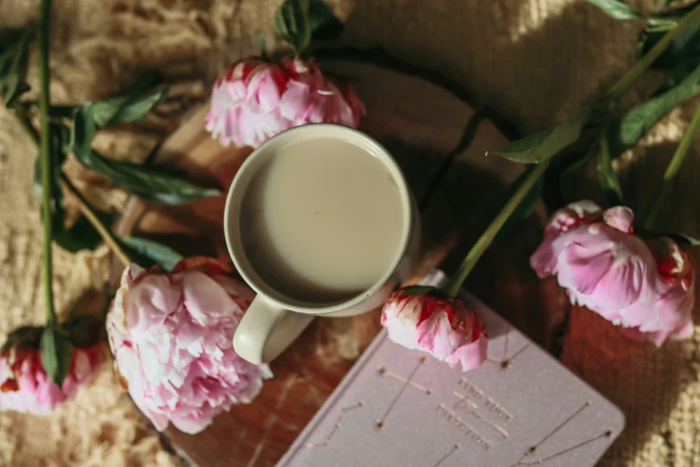 a coffee mug sitting next to a small book