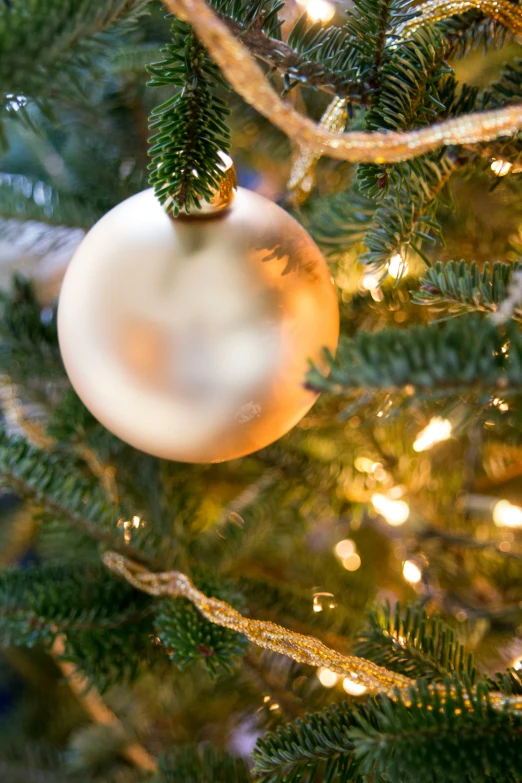 a christmas tree with an ornament hanging from it