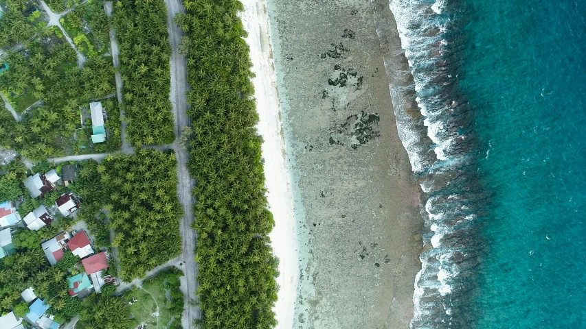 an aerial view of the beach and the ocean
